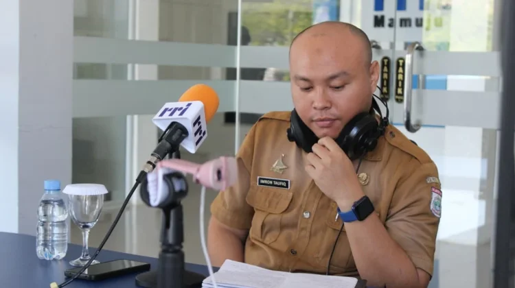 DTPHP Sulbar Ungkap Jejak Masuknya Virus Flu Babi Afrika ke Mamasa