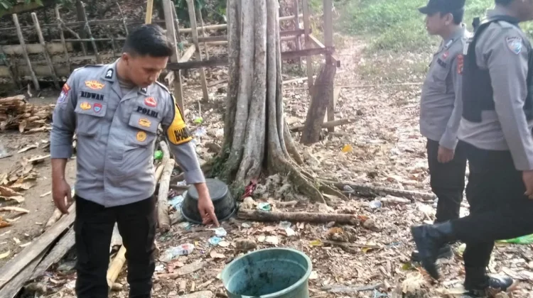Polisi Gerebek Arena Sabung Ayam di Tapalang