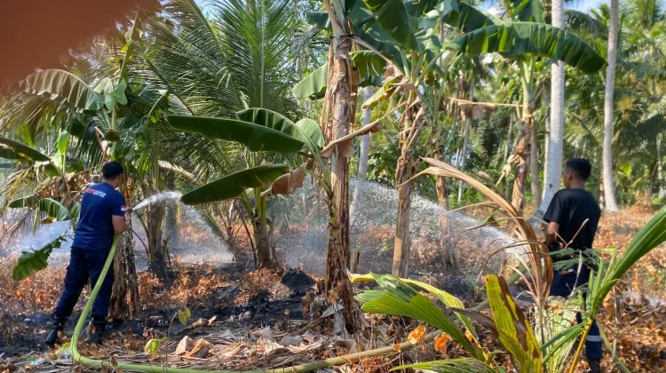 Rentetan Kebakaran Lahan, Warga Polman Diminta Waspada