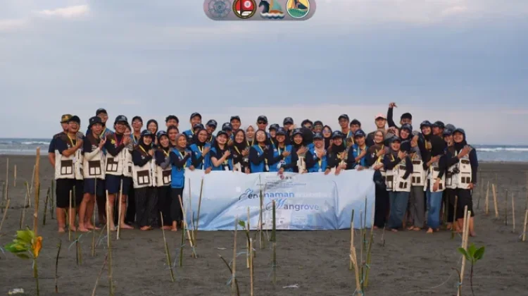 Mahasiswa KKN UGM Tanam 500 Mangrove di Pantai Gonda Campalagian