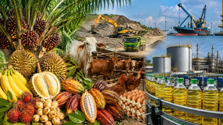 Hortikultura hingga Industri Pengolahan Topang Ekonomi Sulbar Triwulan II