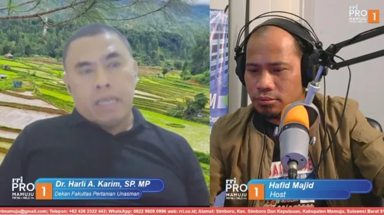 Peluang Kebangkitan Kakao Sulbar: Dampingi Petani dan Tarik Minat Generasi Muda