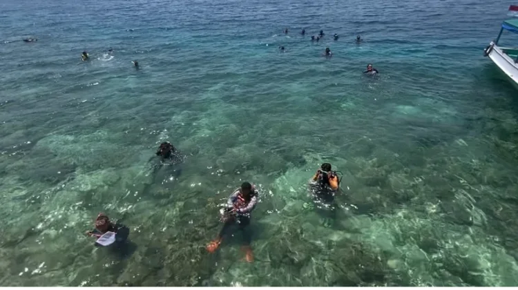 HUT RI ke 81, POSSI Sulbar Bersih-bersih Pantai dan Bawah Laut di Pulau Karangpuang