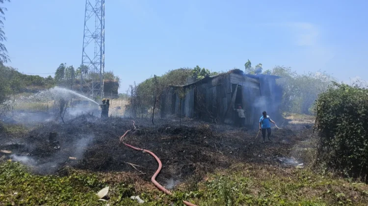 Lahan 5 Are dan Gudang Kosong Terbakar di Sekitar Perumahan Zarindah Mamuju