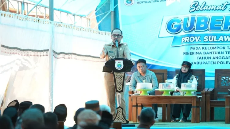 Gubernur SDK Targetkan 30 Kelompok di Majene Terima Bantuan Kambing Tahun 2027
