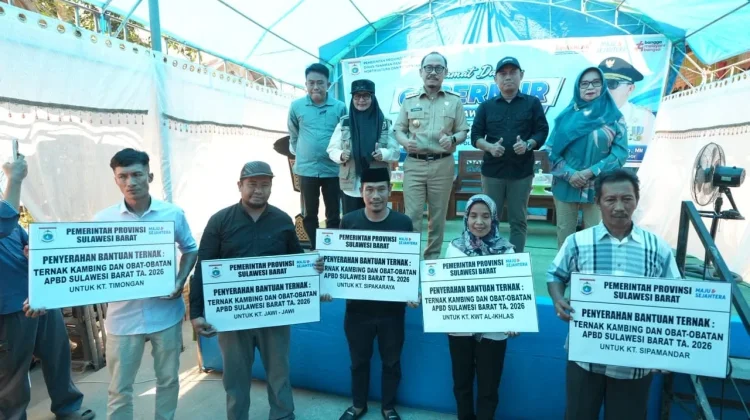 Peternakan Sulbar Didorong Topang Program Makan Bergizi Gratis
