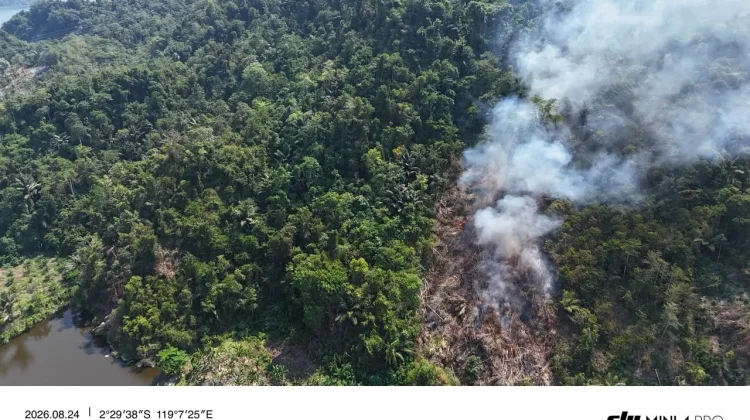 Gubernur Suhardi Duka akan Tindak Tegas Pembakar Hutan dan Lahan