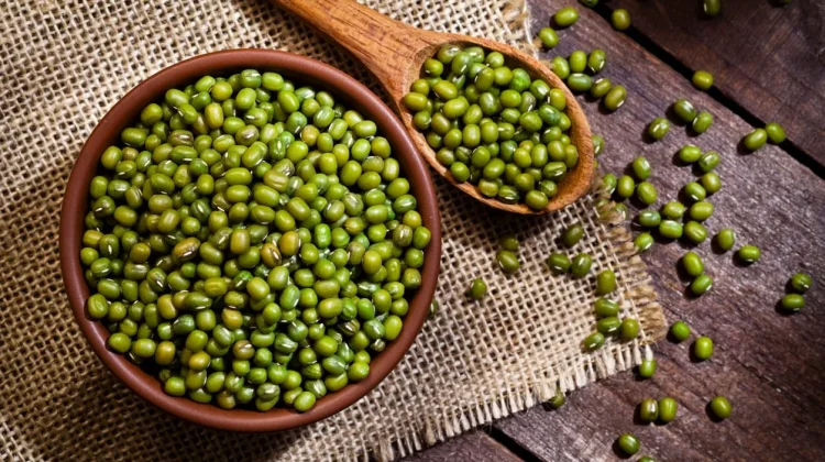Kacang Hijau, Pangan Sederhana dengan Segudang Kandungan Nutrisi