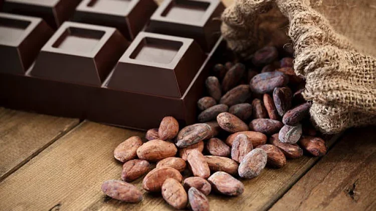 Benarkah Dark Chocolate Lebih Sehat? Ini Alasannya