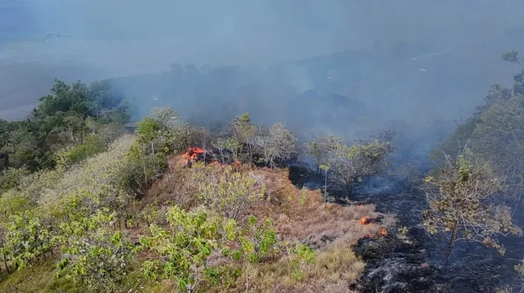 Karhutla di Mamuju Berdampak Kualitas Udara, Waspada Dampak Kesehatan