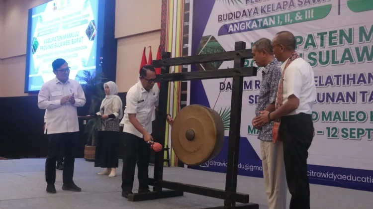 Sebanyak 133 Petani Mamuju Ikuti Pelatihan Pengembangan SDM Sawit