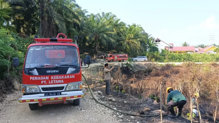 Puntung Rokok Diduga Picu Kebakaran Lahan di Pasangkayu