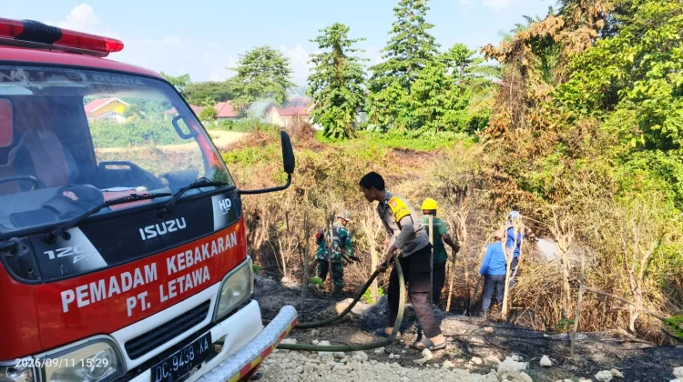 Puntung Rokok Diduga Picu Kebakaran Lahan di Pasangkayu