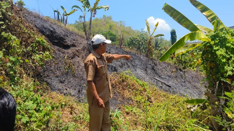 Kebakaran Lahan, Api Berjarak Dua Meter dari SD Tambayako Mamuju
