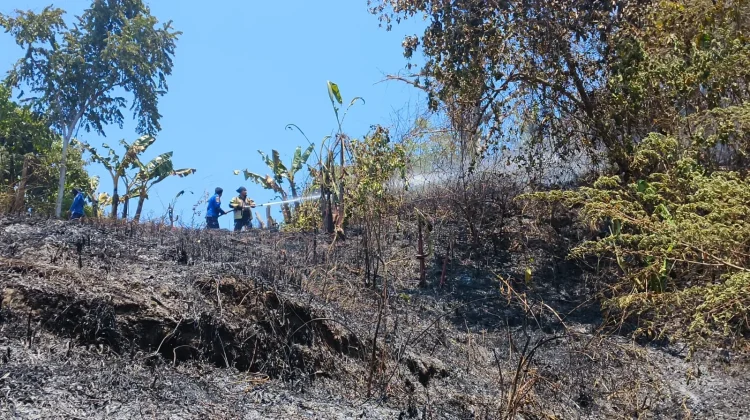 Kebakaran Lahan, Api Berjarak Dua Meter dari SD Tambayako Mamuju