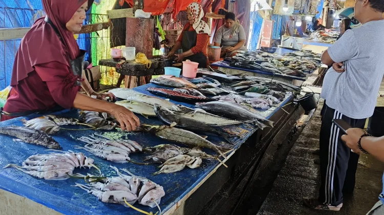 Pembeli Sepi dan Es Langka, Pedagang Ikan di TPI Mamuju Terancam Merugi