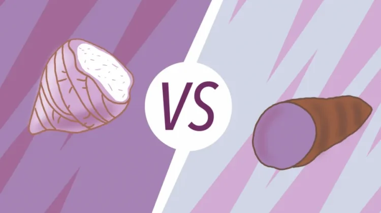 Ube vs Taro: Sama-Sama Ungu, ternyata Ini Bedanya