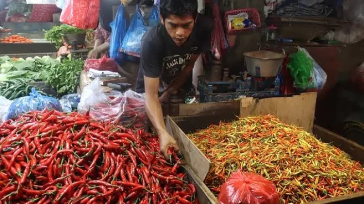 Kenaikan Harga Cabai di Mamuju Diprediksi hingga Februari 2027