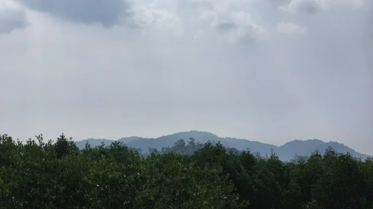 Kabut Asap Kepung Mamuju, BMKG: Kiriman Asap dari Luar Daerah