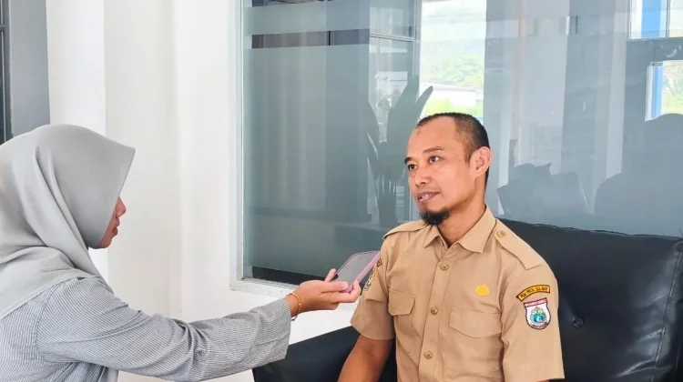 Sekitar 800–900 Hektare Lahan di Polman Terdampak Kekeringan