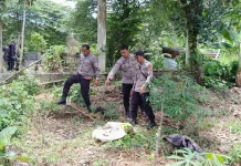 Geger! Mayat Bayi Membusuk Ditemukan di Belakang Pondok Pesantren