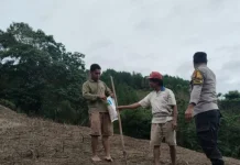 Dukung Ketahanan Pangan, Polisi Dampingi Penanaman Jagung di Mamasa