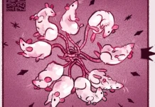 Fenomena Rat King: ketika Ekor Tikus Terikat Menjadi Satu