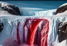 Kehidupan Tersembunyi Air Terjun  Misterius di Antartika - Blood Falls