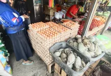 Harga Telur Naik, Dipicu Tingginya Permintaan MBG