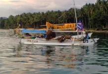 Populasi Ikan Terbang Mandar Terus Menyusut