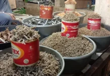 Kemunculan Ikan Penja di Tinambung Kian Berkurang