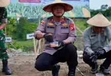 Polda Sulbar Gelar Aksi Tanam Jagung, Dukung Program Pemerintah Swasembada Pangan