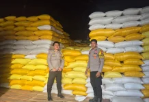 Polsek Pana Kawal Pengiriman 700 Kilogram Jagung Petani ke Bulog Polman