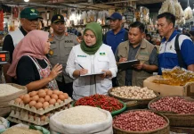 Bapanas Rutin Pantau Harga Pangan dan Ketersediaan Stok di Mamuju