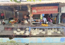 H-2 Lebaran, Harga Ayam Potong di Pasar Baru Mamuju Tembus 90 Ribu