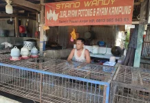 H+2 Lebaran, Stok Ayam Potong di Pasar Baru Mamuju Kosong