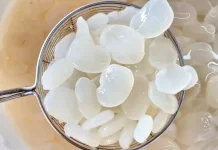 Khasiat Kolang-Kaling untuk Kesehatan Tubuh