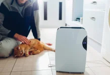 Air Purifier vs Dehumidifier, Mana yang Dibutuhkan di Rumah?
