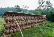 Desa di Pegunungan Sulbar Jadi Contoh Nyata Mandiri Pangan