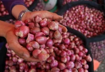 Bawang Merah Jadi Salah Satu Pemicu Inflasi di Sejumlah Daerah