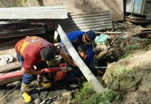 Ular Piton Mangsa Ternak di Pemukim,  Damkar Sulbar Lakukan Penyisiran