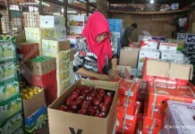 Sebanyak 21 Pelaku Usaha Ekonomi Produktif di Sulbar di Siapkan Batuan 104 Juta