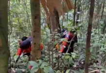 Dua Pekan Hilang, Keberadaan Remaja Botteng Masih Misterius
