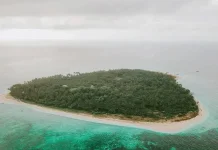 Terumbu Karang Pulau Saboyang Rusak Parah akibat Bom Ikan