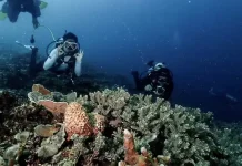 Warga Pulau Saboyang Lakukan Konservasi Mandiri Terumbu Karang