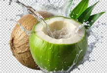 Perbedaan manfaat air Kelapa Tua dan Kelapa Muda yang Perlu Diketahui