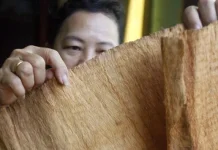 Kain Kulit Kayu Pasangkayu Diangkat Jadi Wastra Baru Sulbar