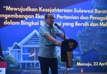 Gubernur Sulbar Sebut Kakao Punya Prospek Besar ke Depan