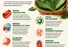 Daun Salam: Manfaat Kecil dari Daun yang Sering Diremehkan