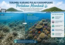 Dispar Mamuju: Terumbu Karang Pulau Karampuang Perlahan Membaik
